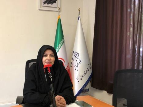 5 میلیون و 600 هزار سند مالکیت حدنگار در کشور صادر گردیده است