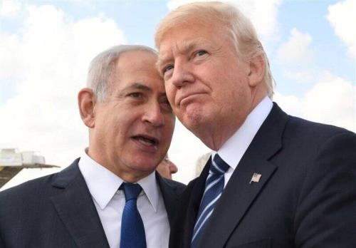 گفت و شنود، انگل داری!